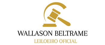 Logotipo WALLASON SILVA BELTRAME