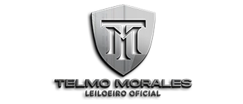 Logotipo Telmo Leilões